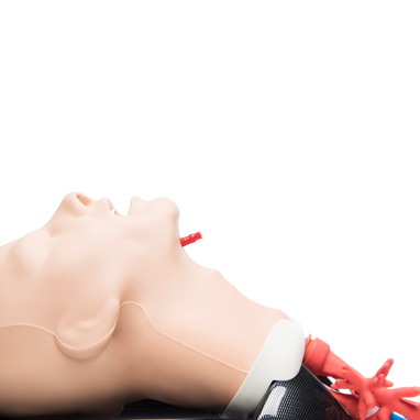 Waukesha Ecommerce Web Design for Professional Grade Intubation Manikins Supplier