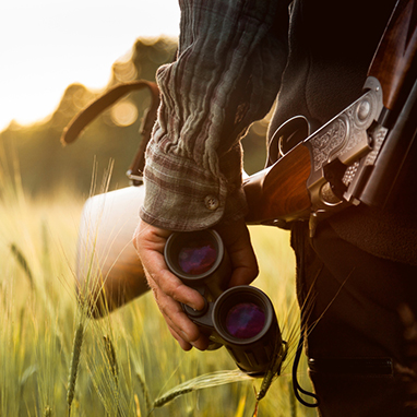 Milwaukee website design for online hunting dog supplies and hunting apprarel