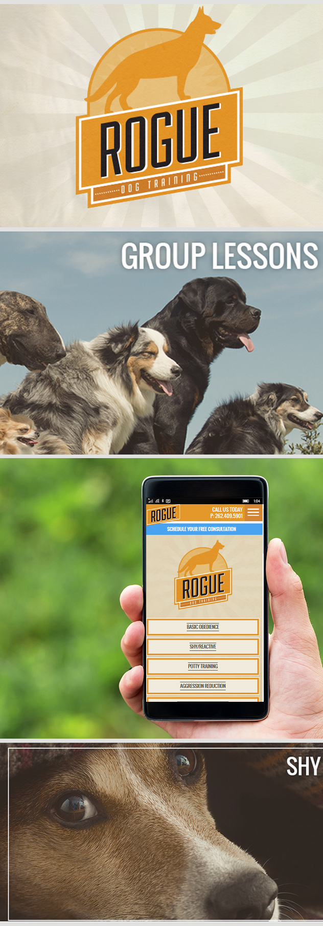 Milwaukee web marketing for Rogue Dog Training